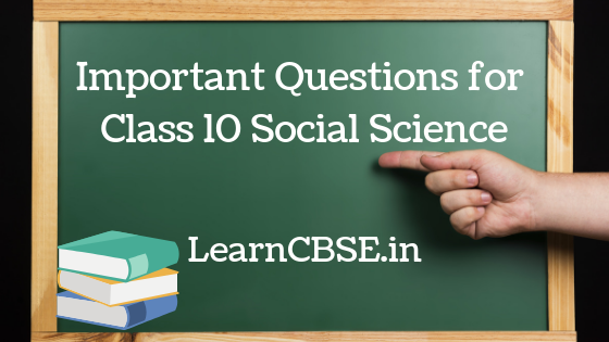 Popular Struggles and Movements Class 10 Important Questions